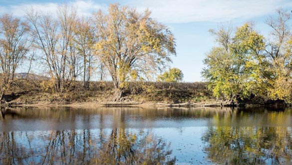 The public is invited to join the Village of New Paltz Shade Tree Commission, Wallkill River Watershed Alliance and Riverkeeper for a tree planting on Saturday, May 7 from 9:30 a.m. to 12:30 p.m. at Sojourner Truth Park. The event is being held in conjunction with the fifth annual Riverkeeper Sweep -- a day of service for the Hudson River. (photo by Dion Ogust)