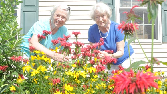 Sue Stegen and Vici Danskin of the New Paltz Community Improvement team in the gardens they planted at the New Paltz Community Center. (photo by Lauren Thomas)