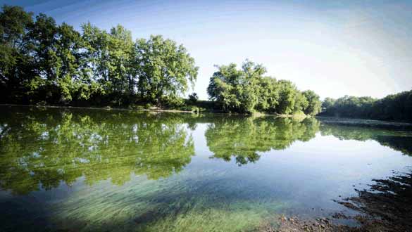 The floating mats of the genus Microcystis can be seen by the Sojourner Truth Park in New Paltz. These algae can cause illness, particularly when ingested. People are warned to thoroughly wash themselves, their equipment and their dogs as soon as possible after any contact with this bloom. (Julie O’Connor | New Paltz Times)