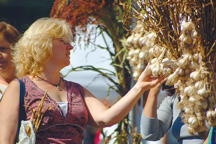 Once each year, Cantine Field becomes the place to ask the garlic experts for their advice, and to sample all sorts of amazing foods (yes, even ice cream) prepared with different garlic varieties. (Beth Blis | Almanac Weekly)