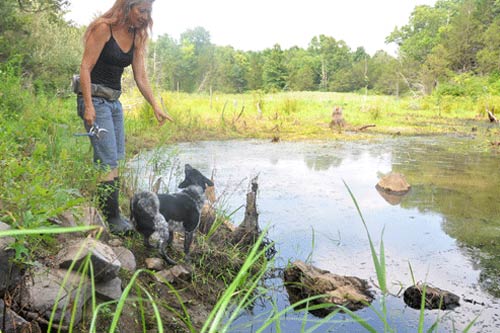 At the Millbrook Preserve. (photo by Lauren Thomas)
