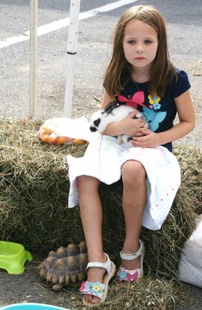 Madeline Boek, 6, cuddles a rabbit at the Saugerties Farmers’ Market with a tortoise at her feet.