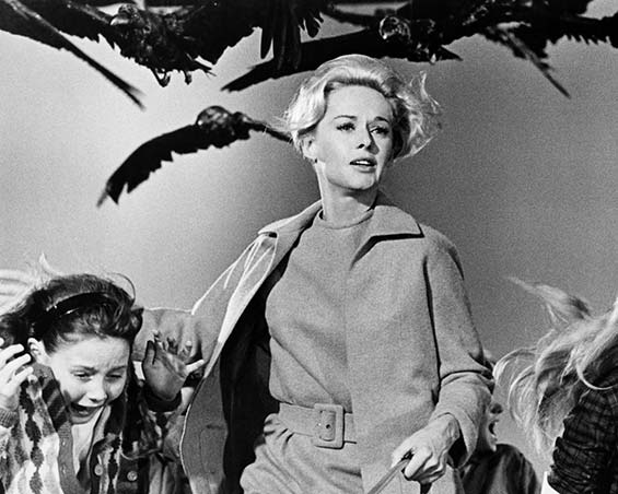 thebirds-1