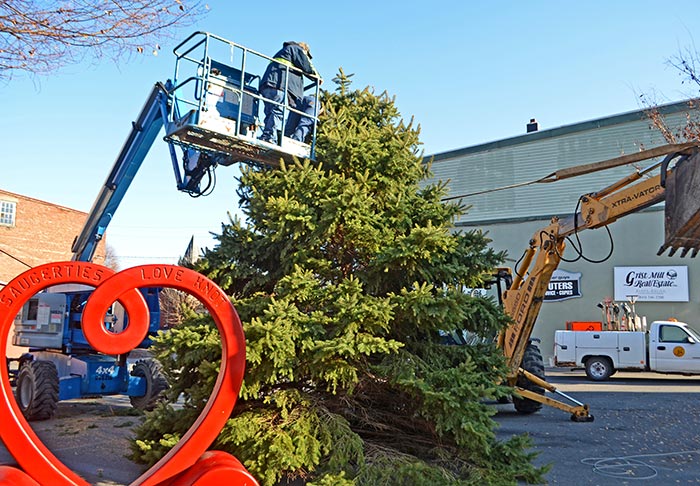 DPW workers put up the large Christmas tree in Reis Park (photo by Robert Ford)