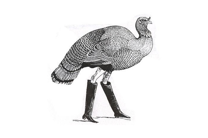 turkey-trot-700x467