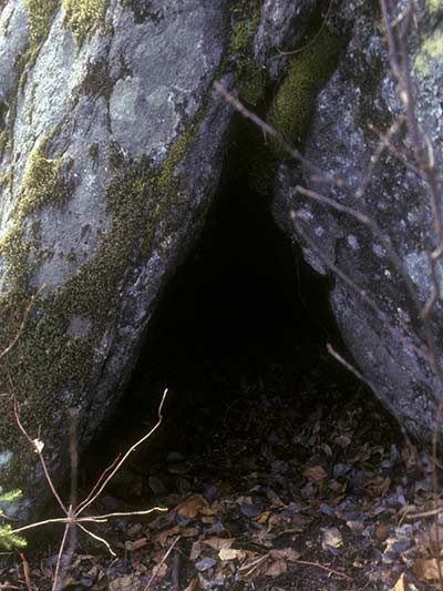 den_rock_800x600