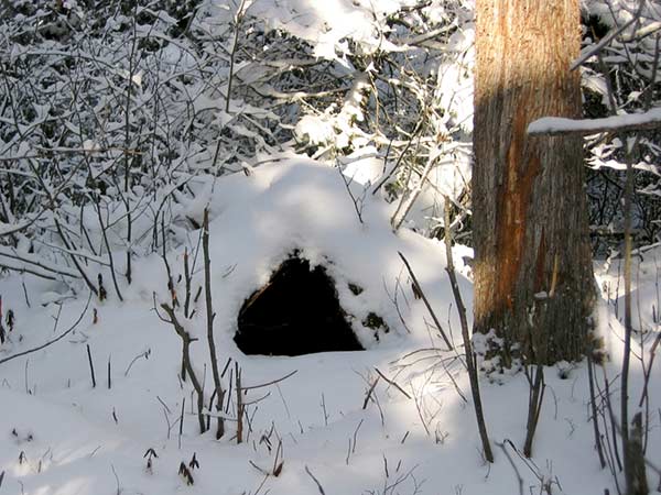 den_throw-mound_800x600
