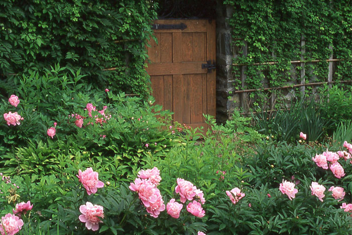 Visit Bellefield's Beatrix Farrand Garden in Hyde Park | Hudson Valley One on Beatrix Farrand
 id=84151