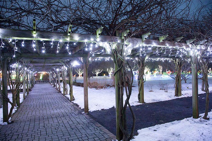 Montgomery’s Thomas Bull Memorial Park is a winter wonderland - Hudson 