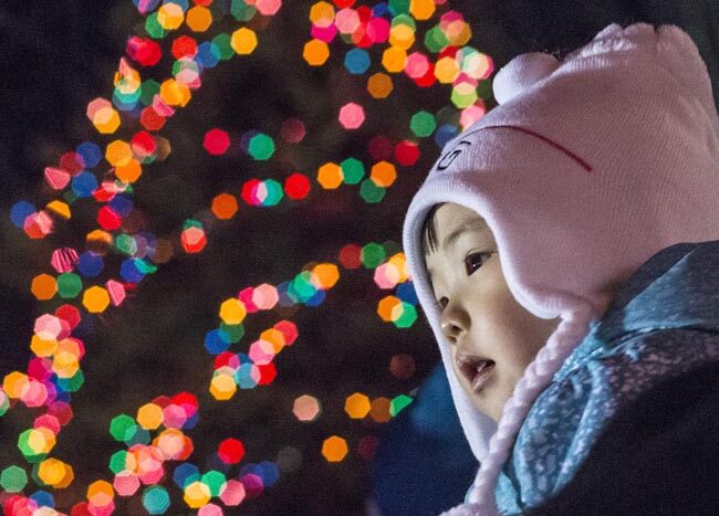 Ulster County calendar of events, holiday & New Year edition: 12/25-1/7