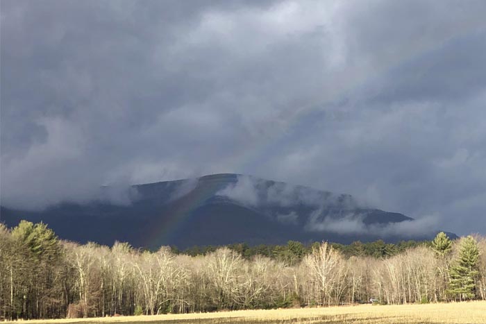 Woodstock Land Conservancy Prepares To Open New Preserve To Public Hudson Valley One