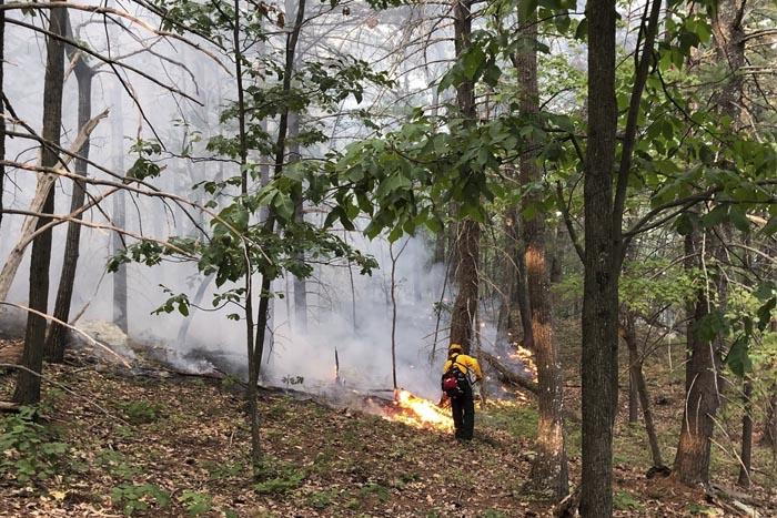 Fire on ridge burns 4.6 acres of Mohonk Preserve - Hudson Valley One
