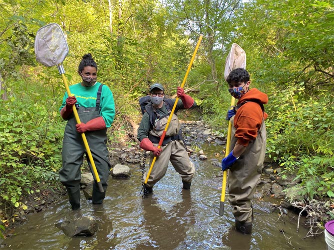 Study project tracks eel populations in the Hudson River - Hudson ...