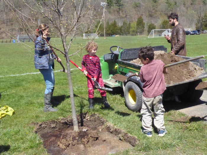 Saugerties celebrates Arbor Day with a tree planting - Hudson Valley One