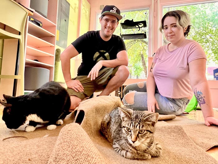 Hang out with rescue cats or adopt one at Beans Cat Café in New