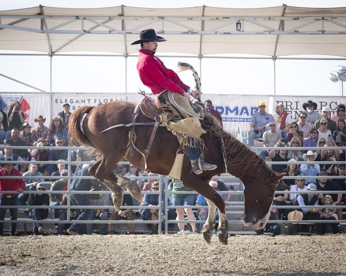 Saddle up A day at the Hudson Valley Rodeo Hudson Valley One