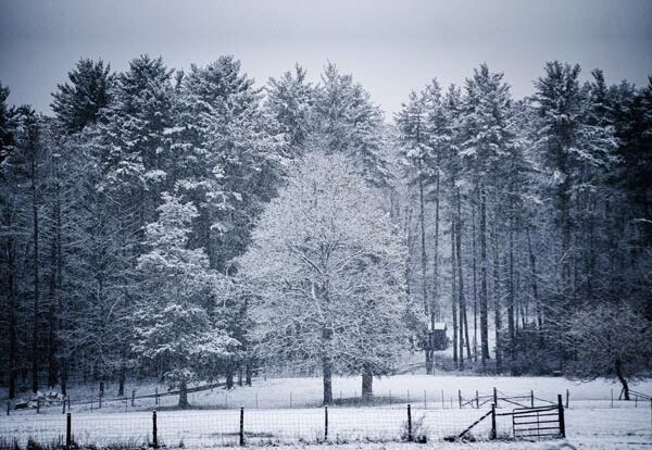 Letters to the editor: December 3, 2025 (Jimmy Cliff, transparency, solar power and more)