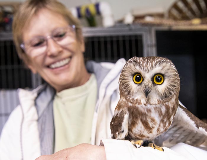 Hudson Valley bird rescue holds gala to support wild bird rescue ...